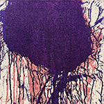 Thumb CarlMoll santamargherita